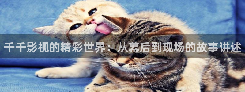 6080 新视觉影院：千千影视的精彩世界：从幕后到现场的故事讲述
