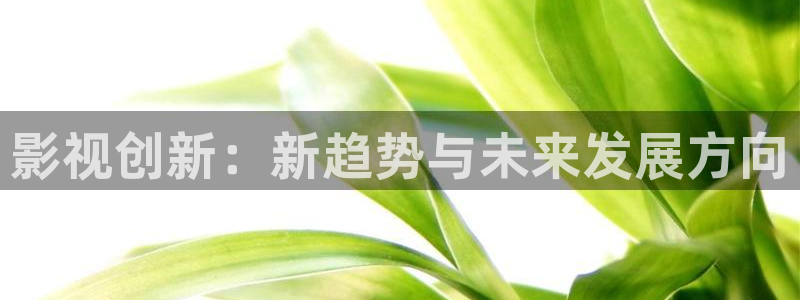 yy6080新视觉在线观看：影视创新：新趋势与未来发展方向