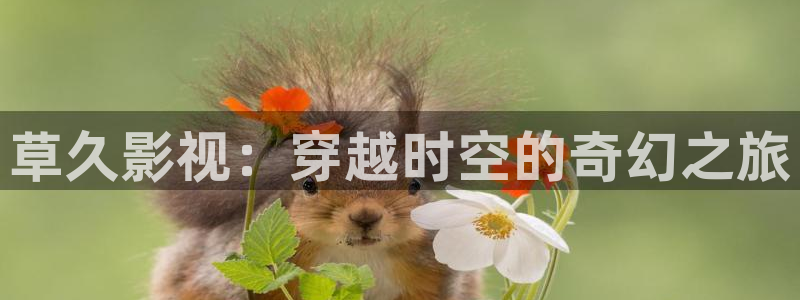 6080影院新视觉6080：草久影视：穿越时空的奇幻之旅