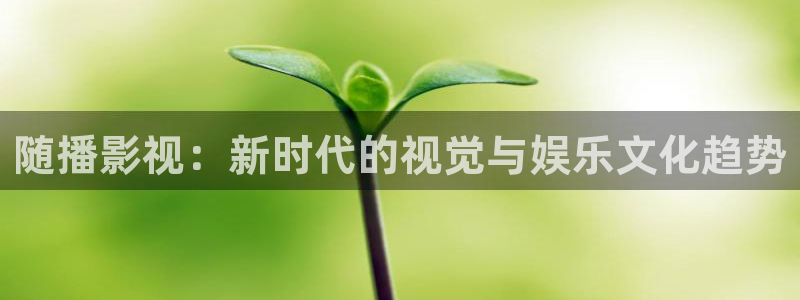 新视觉理论电影电视剧在线观看：随播影视：新时代的视觉与娱乐文化趋势