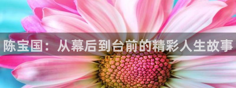 4080新视觉影视大全电影免费观看：陈宝国：从幕后到台前的精彩人生故事