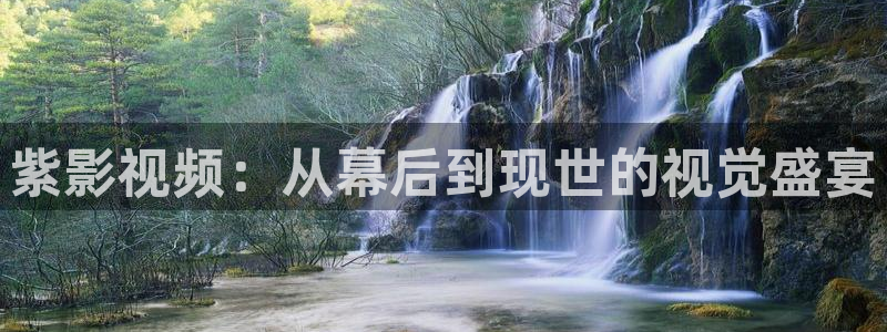 新视觉6080在线观看电视剧：紫影视频：从幕后到现世的视觉盛宴