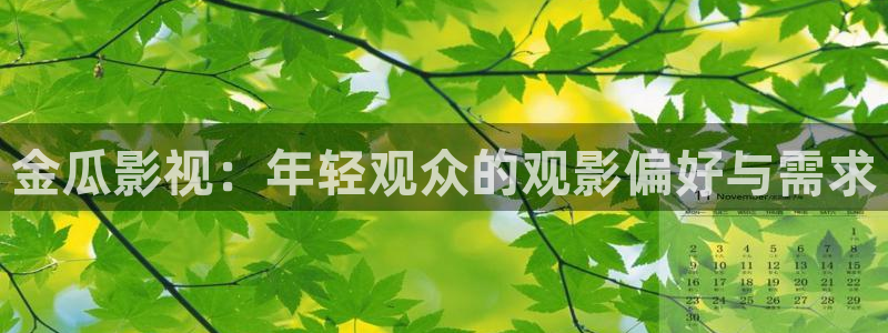 6080在线8090新视觉：金瓜影视：年轻观众的观影偏好与需求