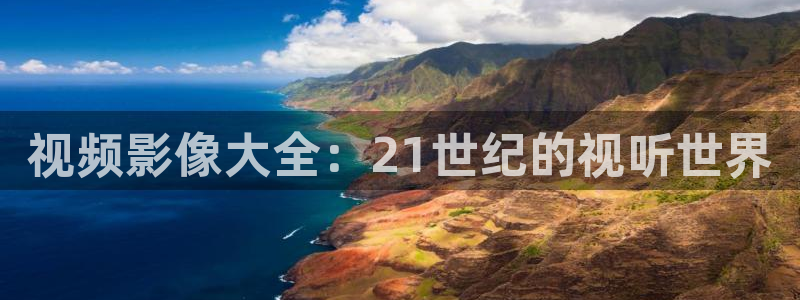 6080新视觉电影：视频影像大全：21世纪的视听世界
